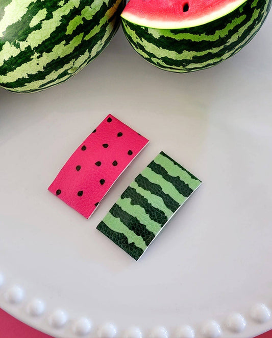 Watermelon 2" Rectangle Snap Clip Pair- Caylee & Co